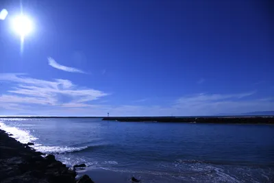 DSC_0855 (Large).JPG